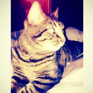 Meet your Posher, Jayleigh